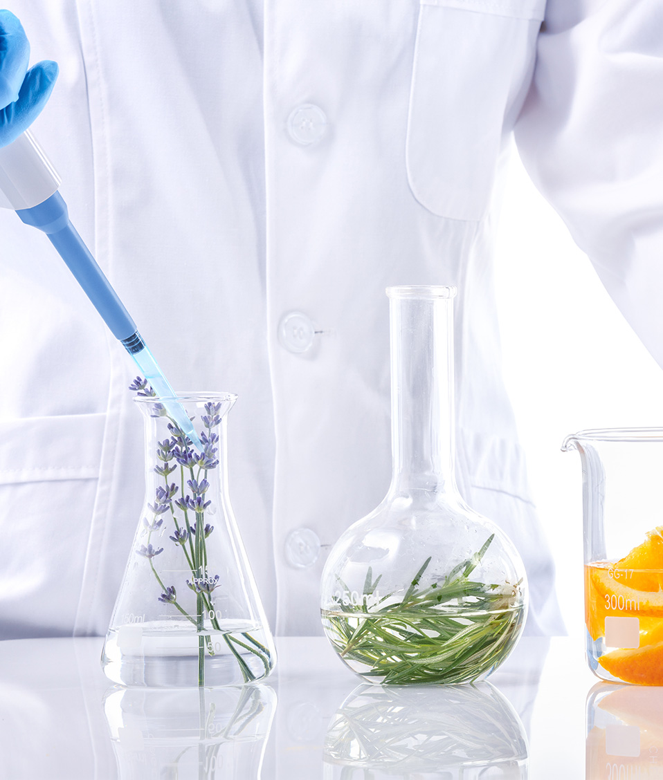 Laboratorio investigacion de alimentos y plantas