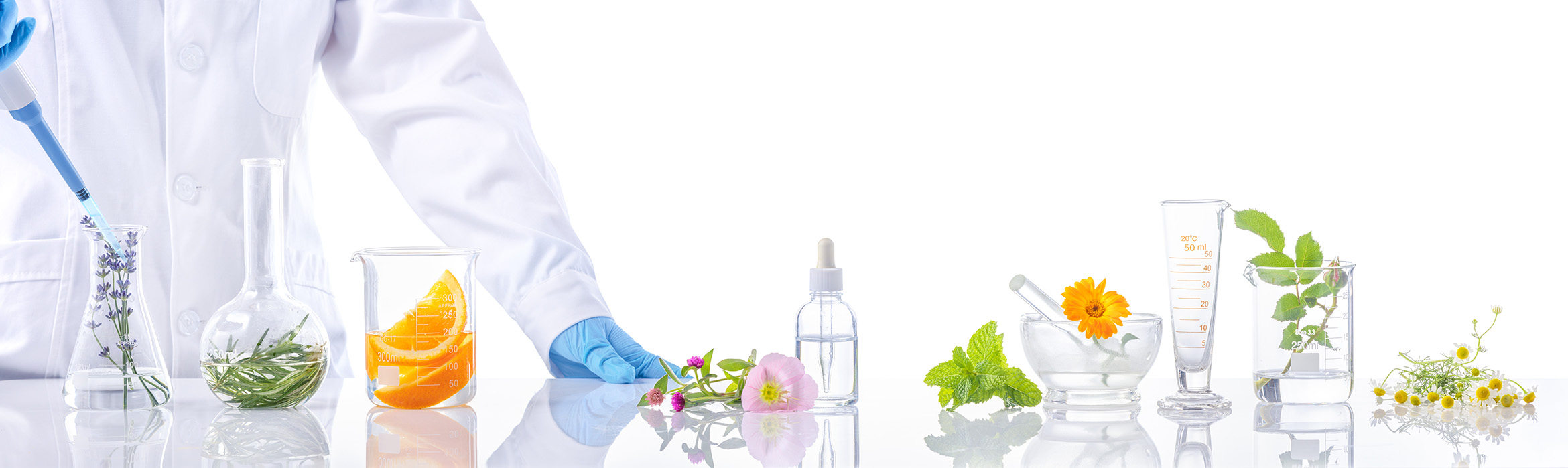 Laboratorio investigacion de alimentos y plantas