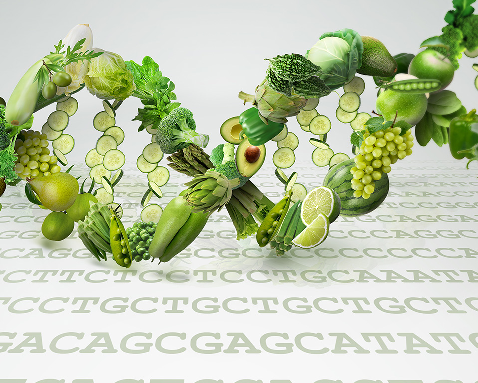 Cadena ADN compuesta por alimentos
